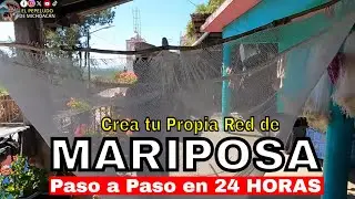 No te imaginarás lo fácil que es crear una Mariposa Michoacana en 24 horas