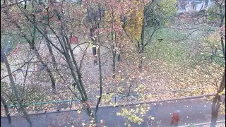 Життя...Воно дивовижне, непередбачуване, гірке і солодке...(Надія Красоткіна), вик. Вікторія Джоган