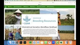 #10 Breeding Analytics Pipeline: Calculating Realized Genetic Gains