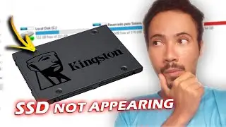 SSD Not Showing up in Windows 10/11 FIXED