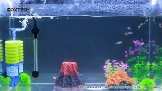 Boxtech Submersible Aquarium Heater 50W/100W/300W
