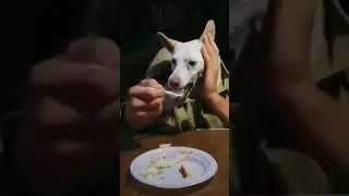 ты не ты когда голоден😃