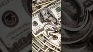 Qual o animal mais rico do mundo? #shorts
