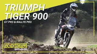 Essai Triumph Tiger 900 GT Pro et Rallye Pro - Le meilleur trail mid-size ?
