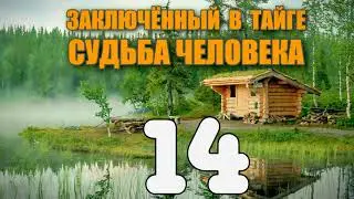 ЗАКЛЮЧЕННЫЙ В ТАЙГЕ | УБИЙСТВО НА ДОРОГЕ | СУДЬБА ЧЕЛОВЕКА | СЛЕДСТВИЕ ВЕЛИ 14