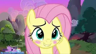 FLUTTERSHY'S SECRET MY LITTLE PONY FOREVER