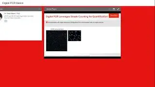Digital PCR basics