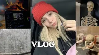 НЕДЕЛЯ ВЛОГОВ | ПОСТУПАТЬ В МЕД СТОИТ ЛИ? | ДЕНЬ 4
