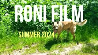 RONI FILM. SUMMER 2024