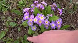 205. Начало сезона