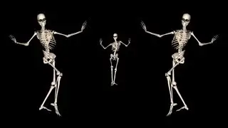 Skeleton Belly Dance Trio