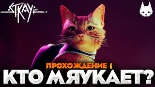 КТО МЯУКАЕТ? - STRAY ПРОХОЖДЕНИЕ НА РУССКОМ №1 