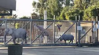 Inside America’s Teaching Zoo | A Wild Learning Experience!