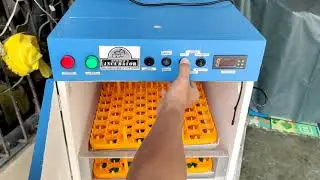 AUTHOMATIC EGG INCUBATOR 216 SETTER WITH HATCHER