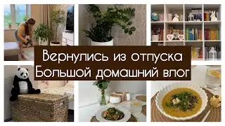 🛍️ПОКУПКИ ДЛЯ ДОМА / 🥒🥗 РЕЦЕПТЫ ИЗ КАБАЧКОВ / 🧺🧹🧽 МОТИВАЦИЯ НА УБОРКУ