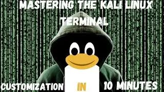 Kali Linux Terminal Customization in 10 Minutes!