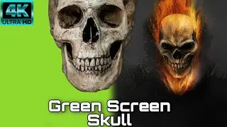 Green screen vfx Video Chroma Skull 4k hd video footage