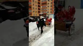 Ансамбль 