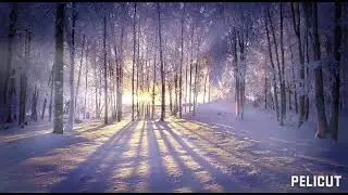 Зимний релакс/45 минут расслабления.