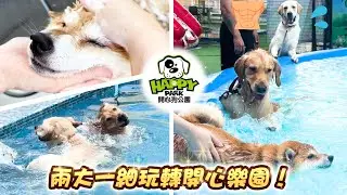【Happy Park遊記】柴犬反拉媽咪下水😱拉布拉多騎著金毛游泳⁉️一起看兩大一小玩轉狗狗樂園🛝💦-三條毛@DIDOW