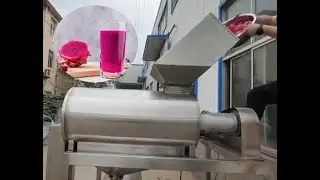 dragon fruit  pulping machine-Pitaya pulping beater