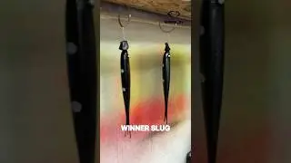 Подпишись на наш Telegram канал! Ссылка в закреплённом комментарии 👇