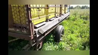 В поисках взятка, которого нет🤫