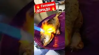 🔥 ГОТОВИМ 🔥 ДОРАДО 🔥 ВЫХОДНЫЕ.ГРИЛЬ
