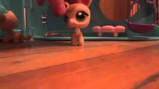 lps:15 m. of fame ^-^ 4