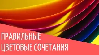 Как понять, какие цветовые сочетания сегодня считаются правильными