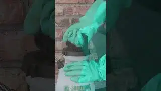 The Quick Guide to Getting Rid of Grasshoppers! [DIY Pest Control]