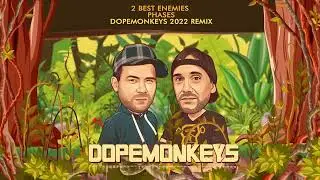 2 Best Enemies - Phases (DopeMonkeys Hardstyle Remix 2022) | HQ Videoclip