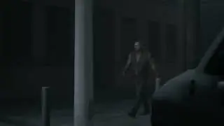 Francis Walk