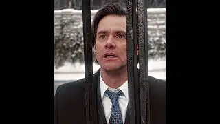 These Penguins Were Uncontrollable 💀 | Mr. Popper's Penguins | MATADORA (Slowed) 