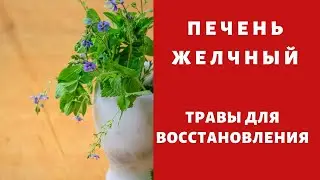 5 растений полезных для печени
