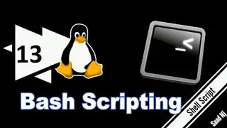 Bash Scripting (13) While Loops