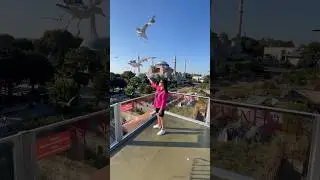 ПЕРВЫМ ДЕЛОМ В СТАМБУЛЕ 😊 Ресторан Seven Hills 