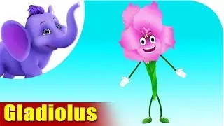 Gladiolus | Flower Song | 4K | Appu Series