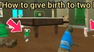 How to give birth to two kittens in Cat sim!! | tricks please subscribe friends 😢