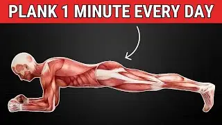 What Happens to Your Body When You Plank 1 Minute Every Day
