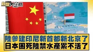陸參建印尼新首都新北京了 日本困死陸禁水產累不活了 新聞大白話 20240825