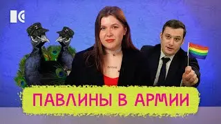 МОБИЛИЗАЦИЯ ПАВЛИНОВ, ТЕСТ НА ОРИЕНТАЦИЮ ДЛЯ ДЕПУТАТОВ, КРИНЖ НА ВЫБОРАХ