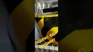 15 марта 2022 г.