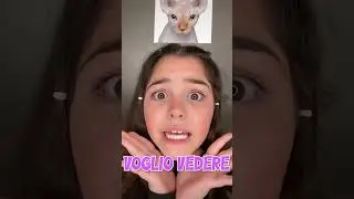 Giulia and Mom: Find out what kind of cat you are with TikTok's new filter! 