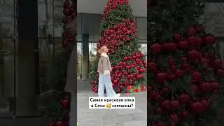 Самая красивая елка в Сочи 🫶🏻
