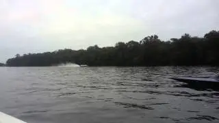 Suwannee(5)