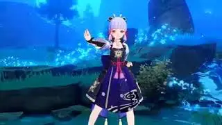Kamisato Ayaka transform into...