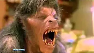 Сектор Газа Оборотень.mpg