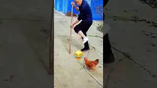 ketika otak ayam diatas rata-rata 🤣🤣🤣🤣🤣🤣#funnyvideo  #funny #shortvideo