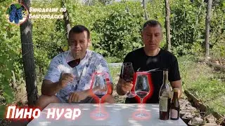 Старый Пино нуар 2017 года против молодого!!!